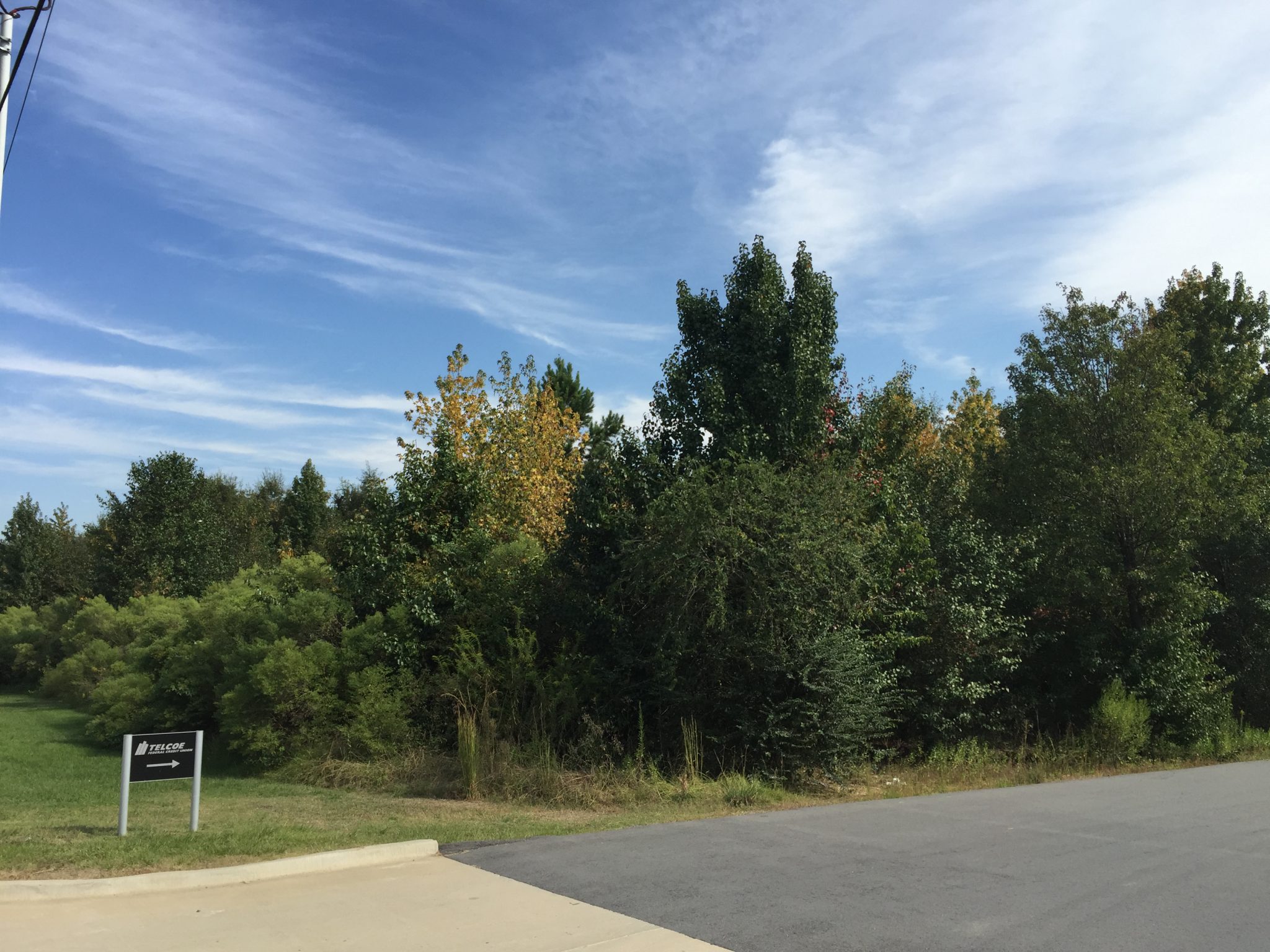 Wildlife, Hunting, and Recreation Development Projects Wellons Land