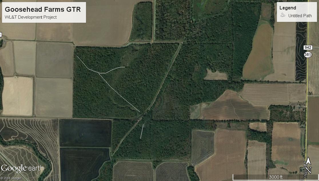 Wildlife, Hunting, and Recreation Development Projects Wellons Land