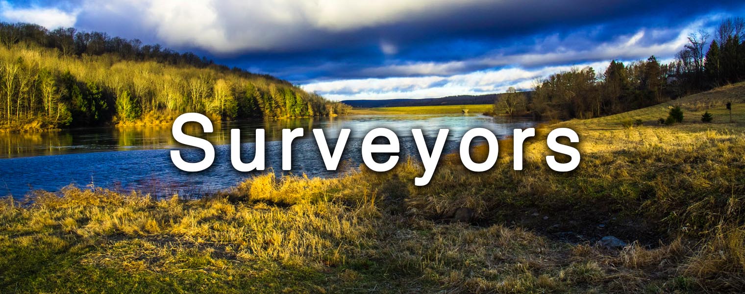 Surveyors