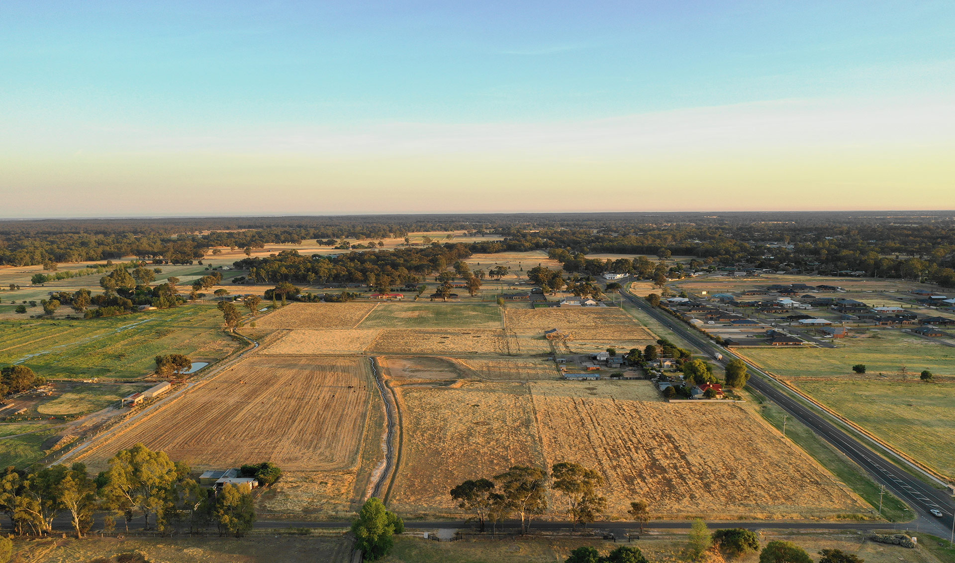 Home Wellsford LIFE IN WIDE OPEN SPACES