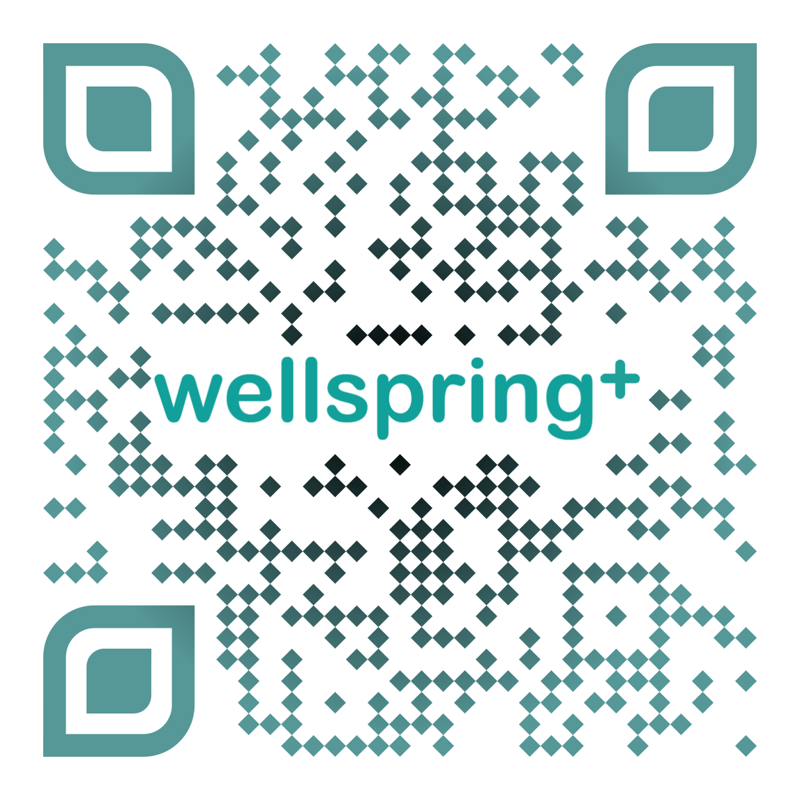 wellspring+ INTRODUCTION