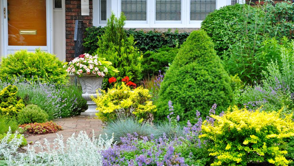 Transforming Your Landscape A Comprehensive Guide to Landscaping in