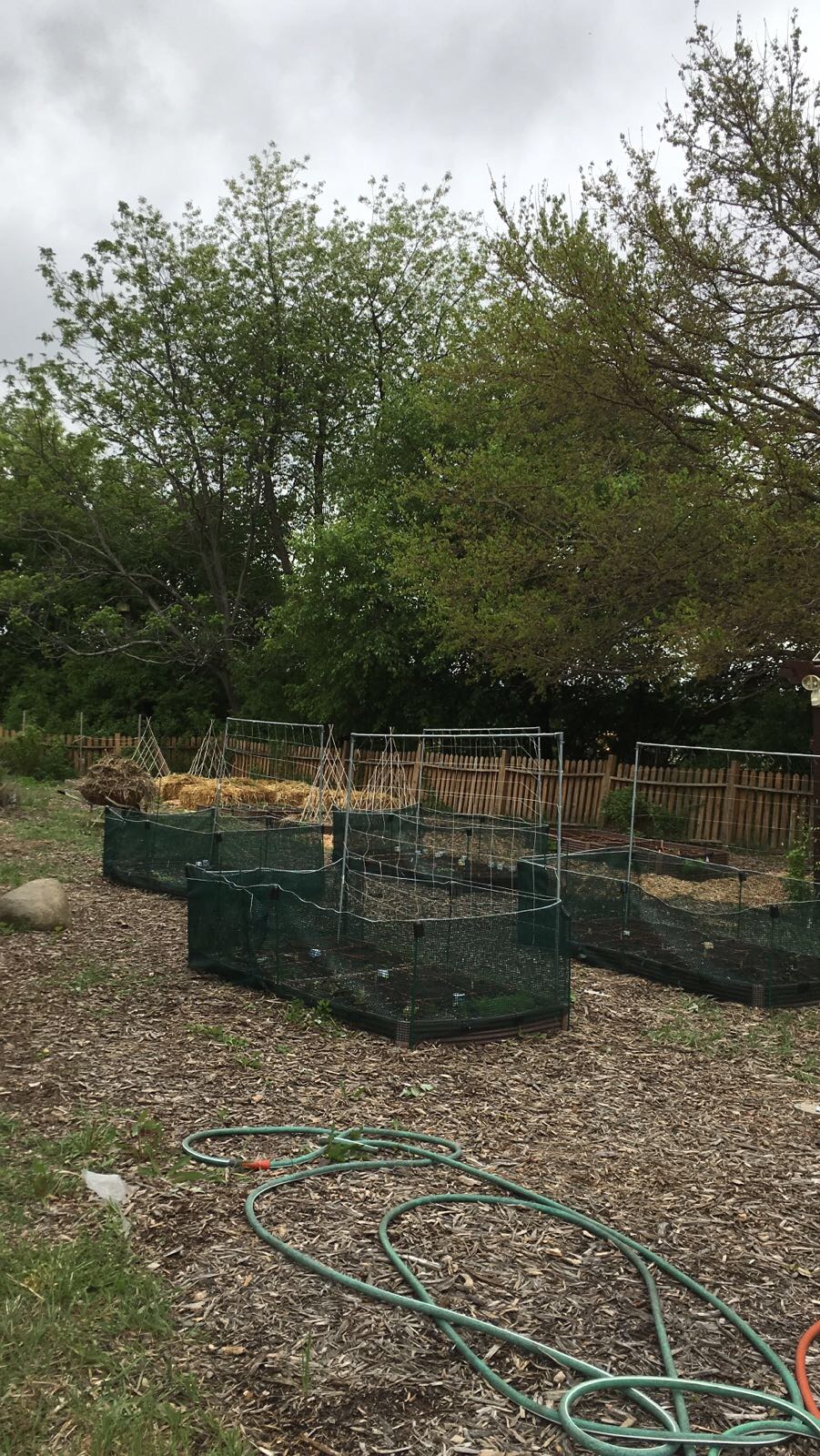 The Garden Needs You! Wellspring Food Pantry Garden Blog