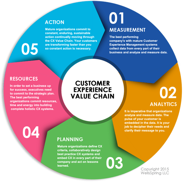 WELLSSPRING Customer Experience Insights Gain Customer Experience