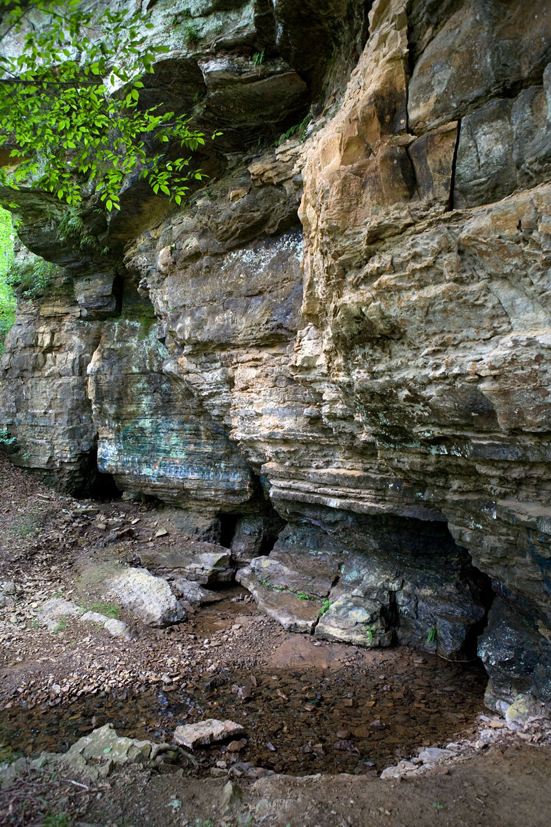 Rock Spring, Greene County Well Stories