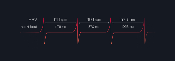 Heart Rate Variability — the Definitive Guide to HRV by Welltory