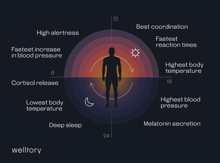 How to Reset Your Circadian Rhythm and Fix Your Internal Clock Welltory