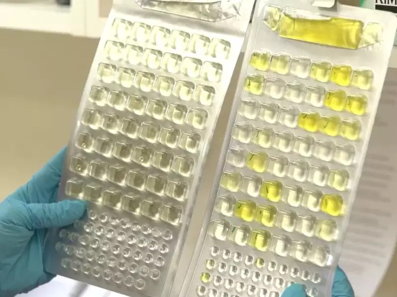 How to Test Well Water for Bacteria & Pesticides at Home/Lab? Well