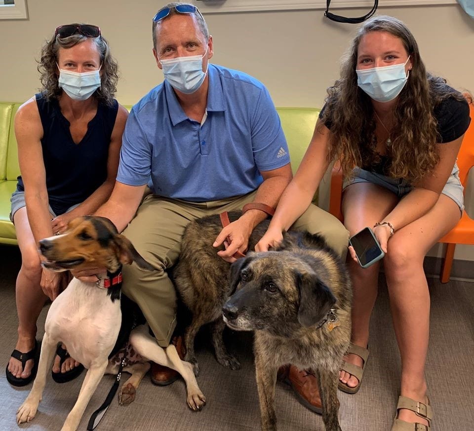 Best Dog Rescue in Massachusetts Top 10!