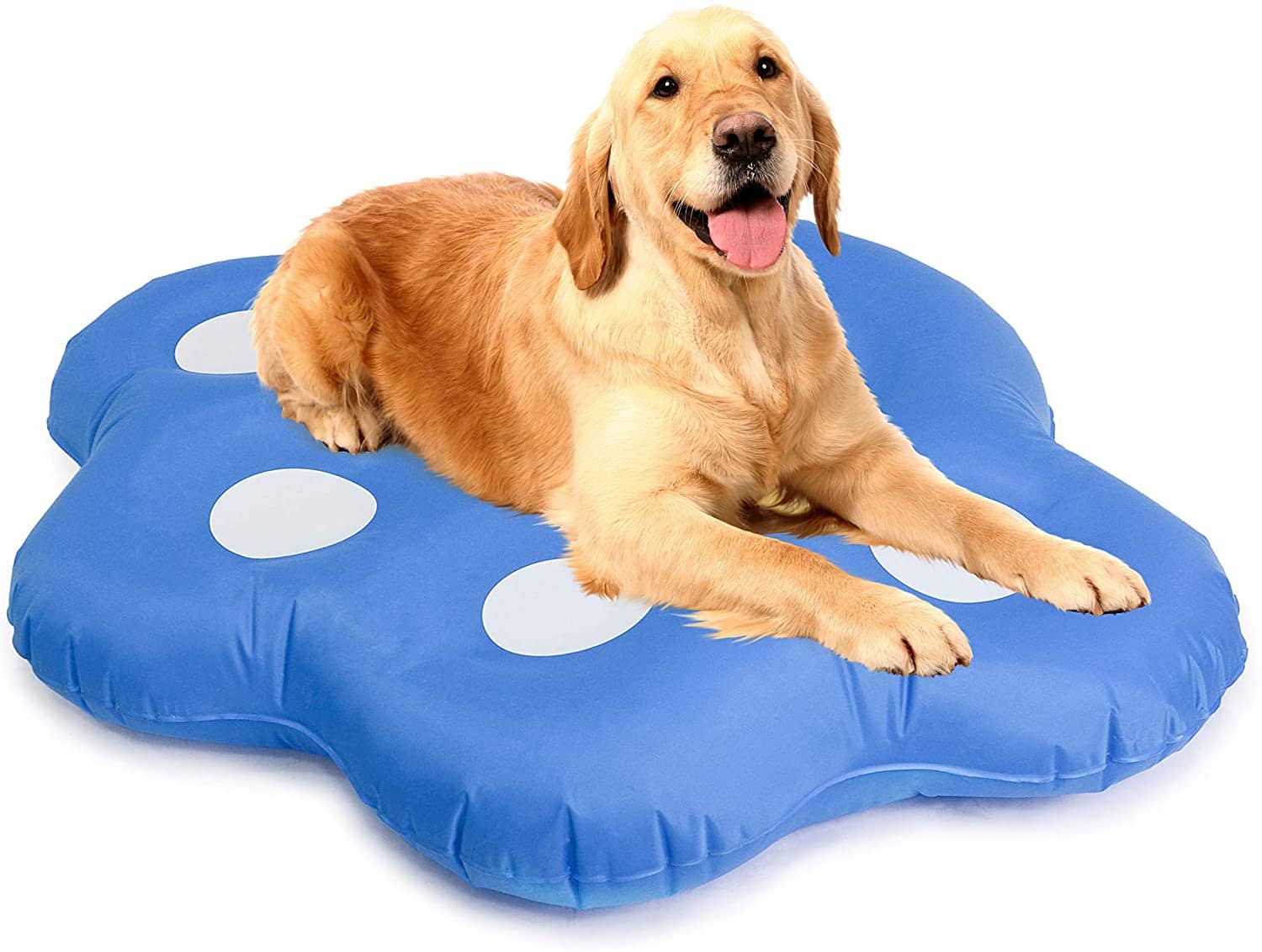 Best Raft for Dogs Top 9 Picks (2024) We Love Doodles