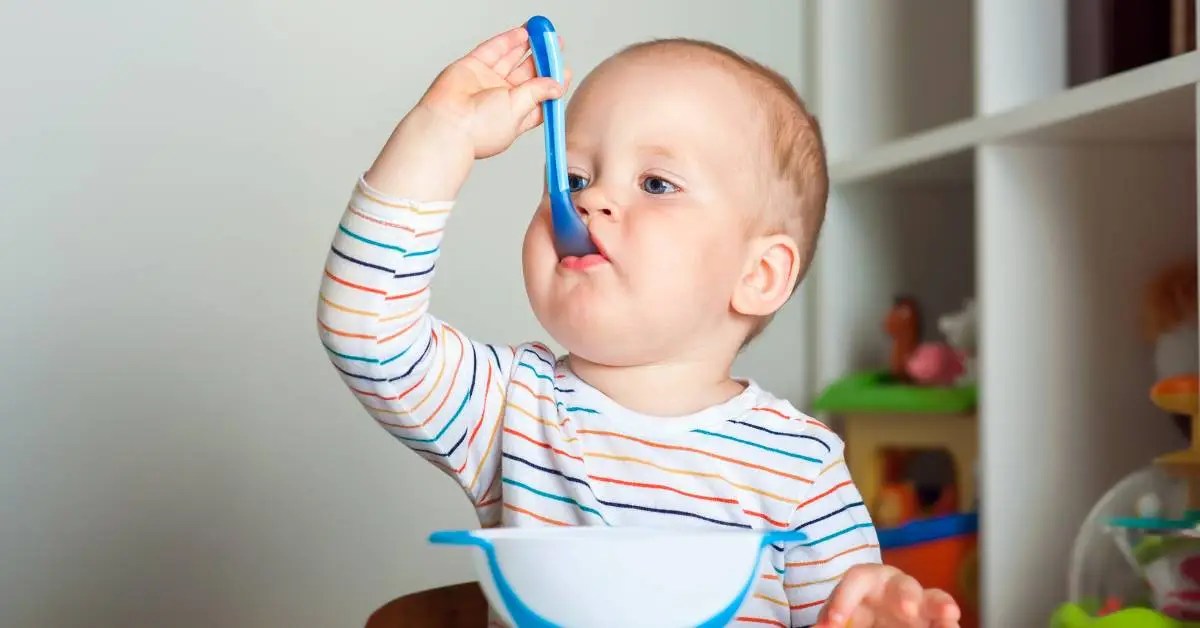 Complementary Feeding Complete Guide From Milk to Meals Transition
