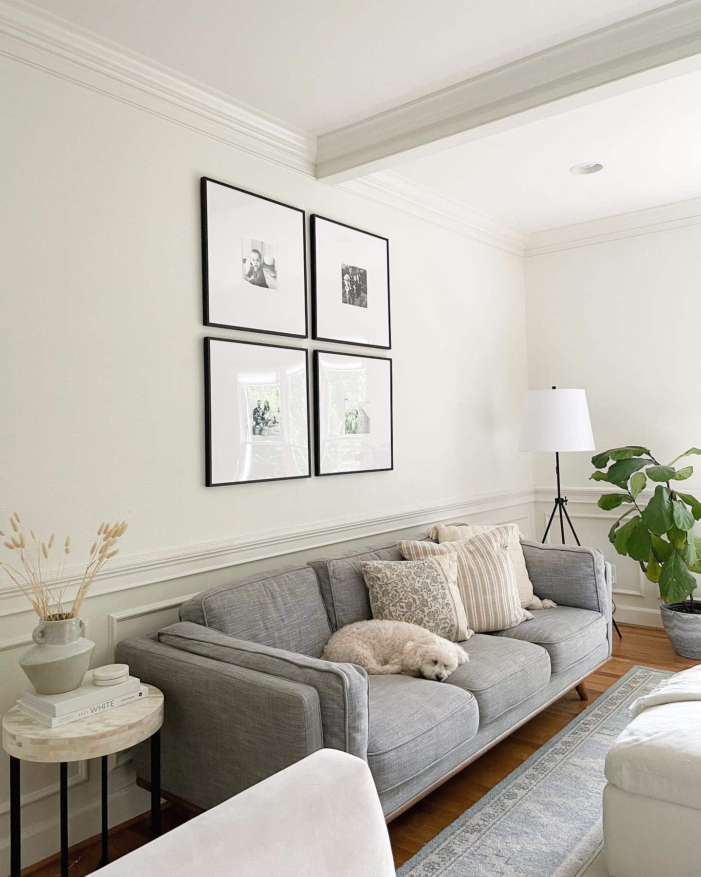 Sherwin Williams Alabaster White Living Room Ideas, 40 OFF