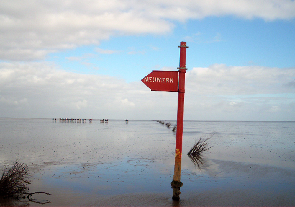 Nordseeinsel Neuwerk HamburgsMitte im Wattenmeer