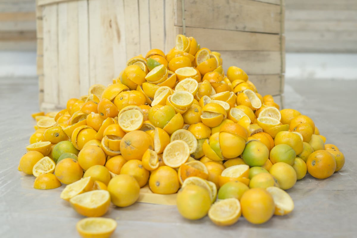 Dress Yourself In Orange Fiber Welum