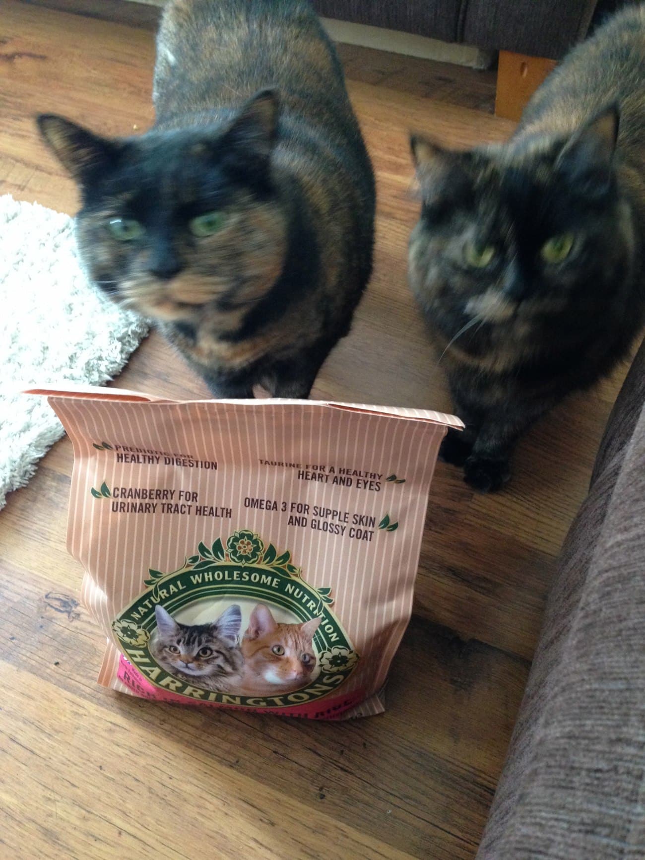 Harringtons Cat Food Review We Made This Life