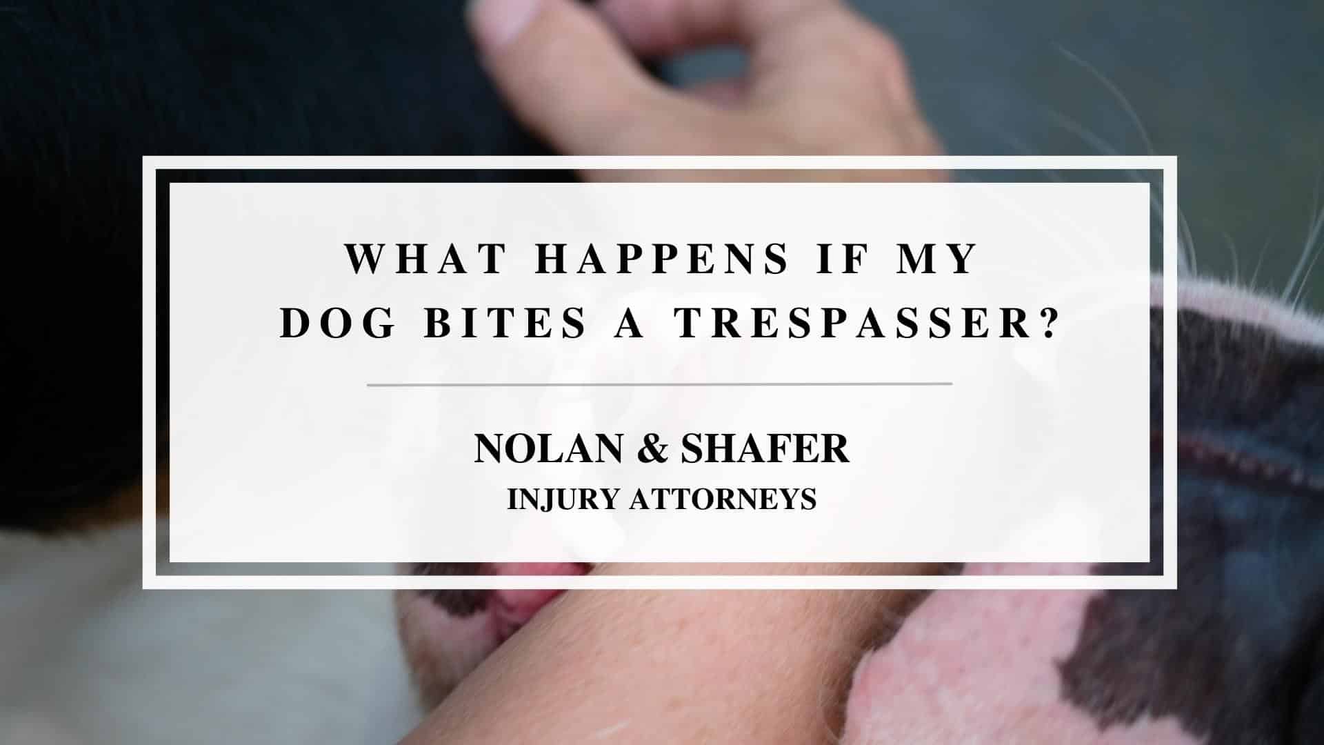 What If My Dog Bites a Trespasser Explained By Personal Injury