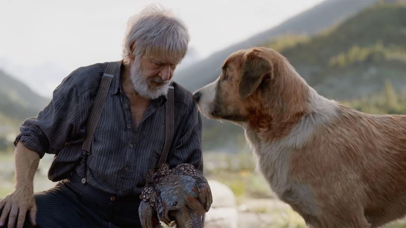 Togo & Call of the Wild Disney Has it Both Ways We Minored in Film