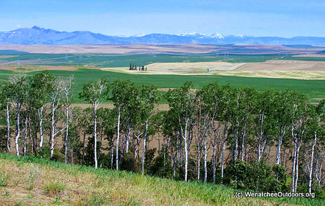 Badger Mountain Family Ride Wenatchee Outdoors
