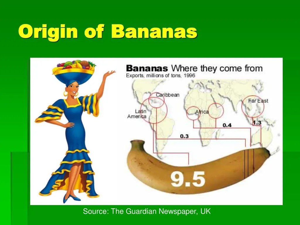 The Fascinating History And Origins Of Bananas Exploring Different