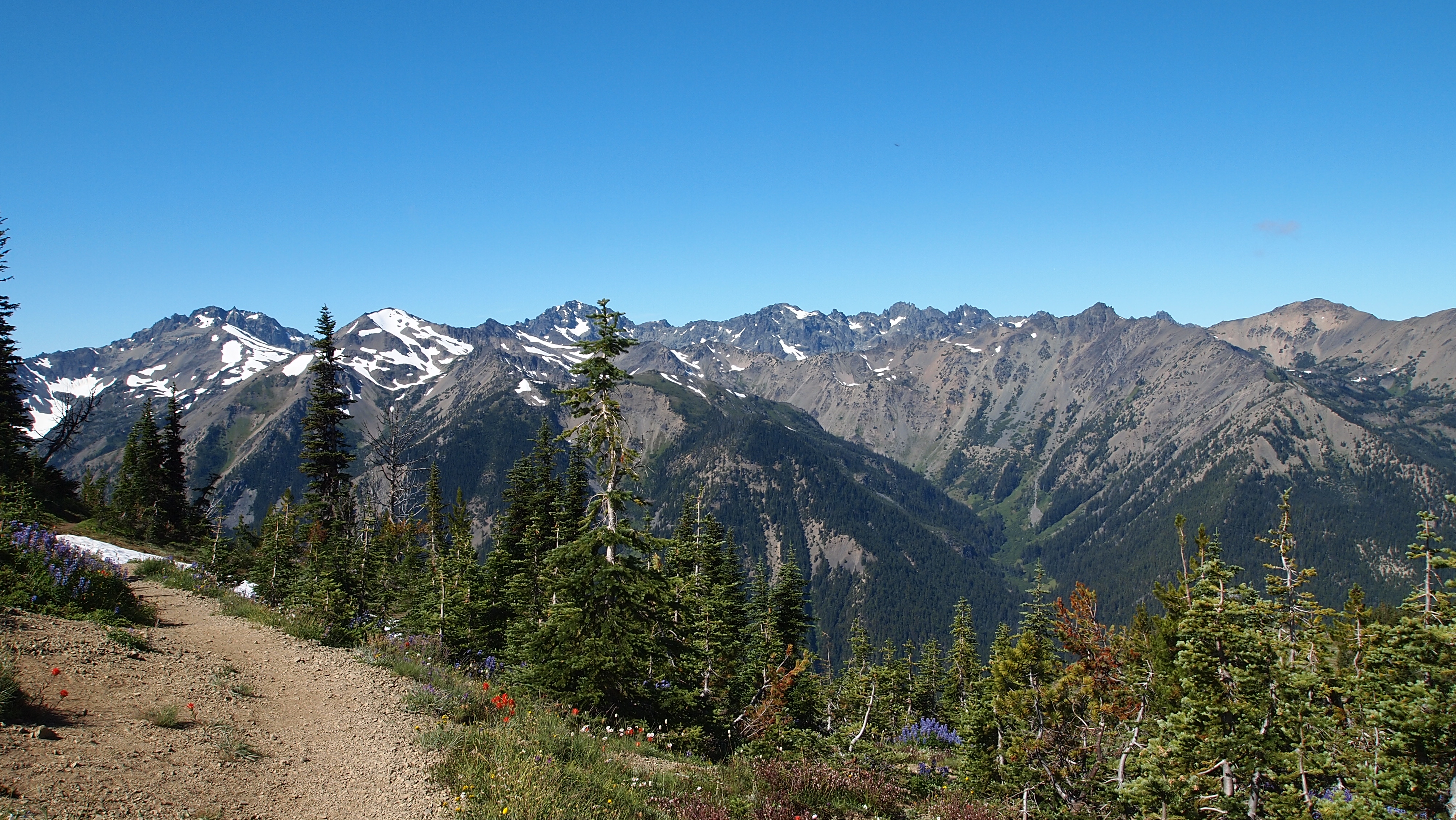 Marmot Pass/Upper Big Quilcene Trail 08.3109.02 Oregon Hikers