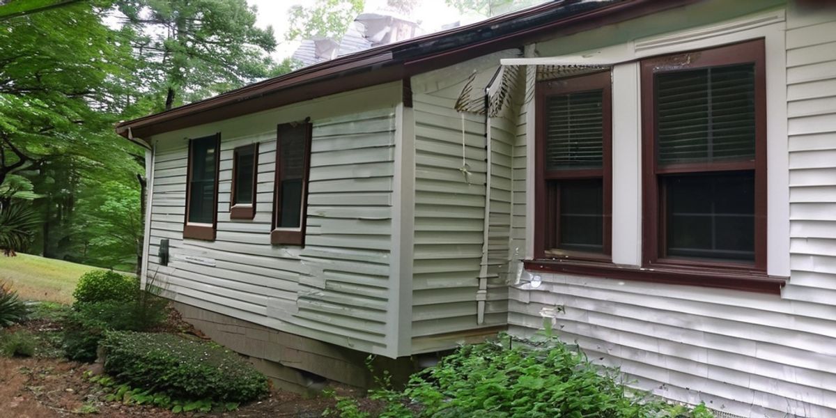Combating Mold And Mildew On Guelph's Painted Vinyl Siding » We Paint
