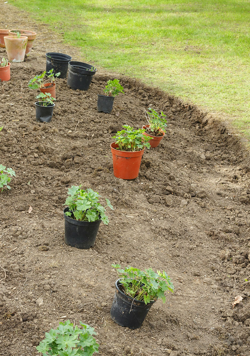 How to Space Plants W. & E. Radtke