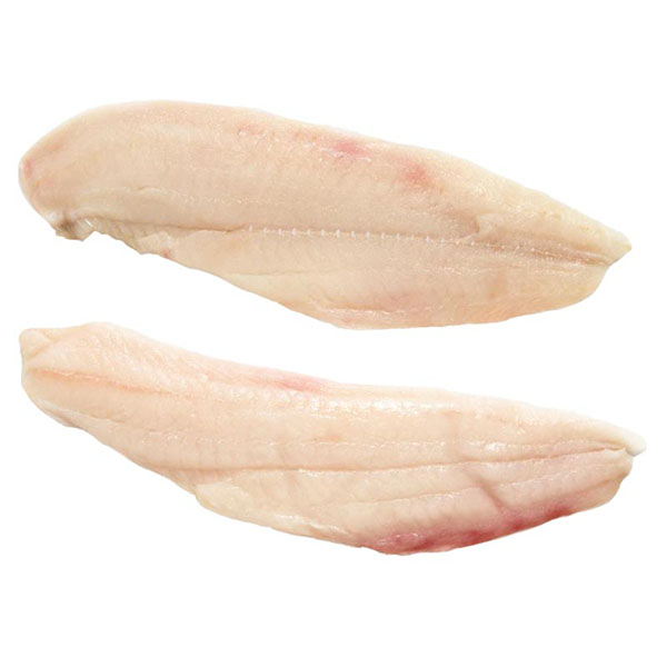 Boneless Flounder Fillet Skinless Werdenberg International Corporation