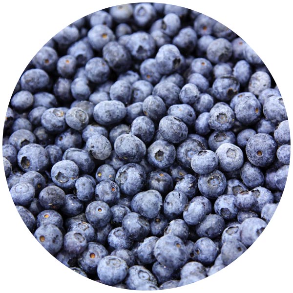 Frozen Blueberries Werdenberg International Corporation