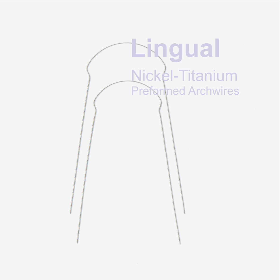 Niti Lingual archwires Werdenta