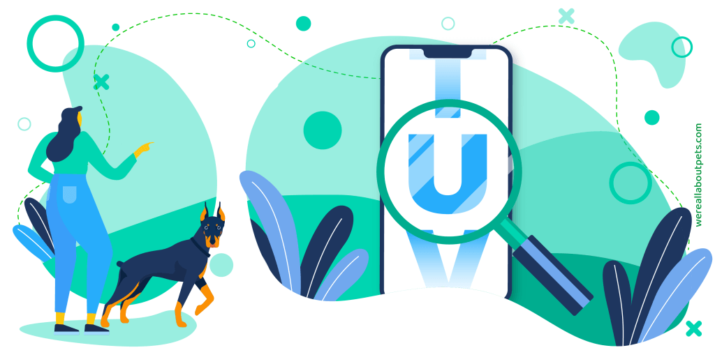 41 DOG NAMES THAT START WITH U We're All About Pets