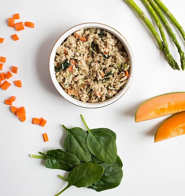 The 6 Best Cat Foods For Russian Blue Cats Of 2022 We're All About Pets