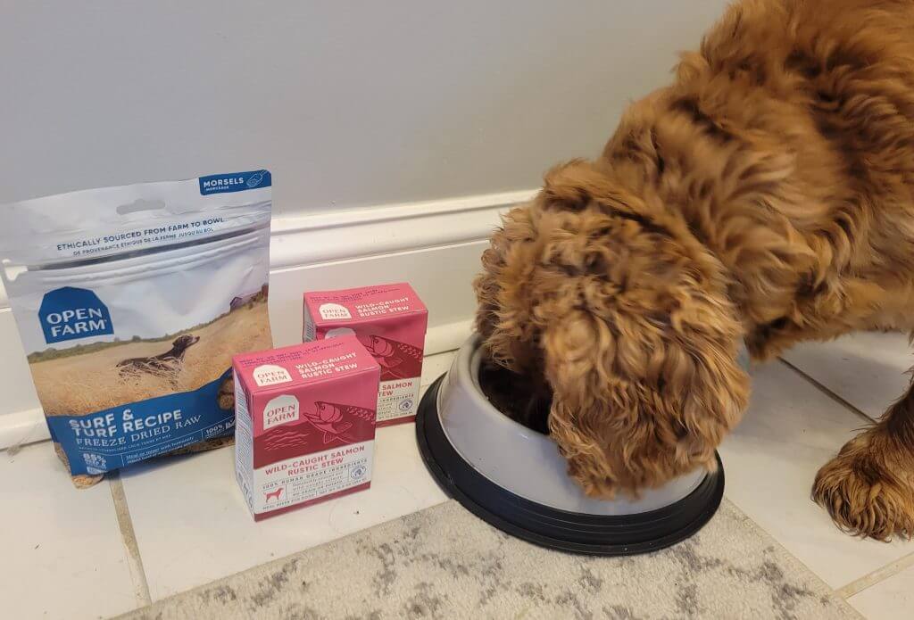 Unbiased Open Farm Dog Food Review 2023 We're All About Pets