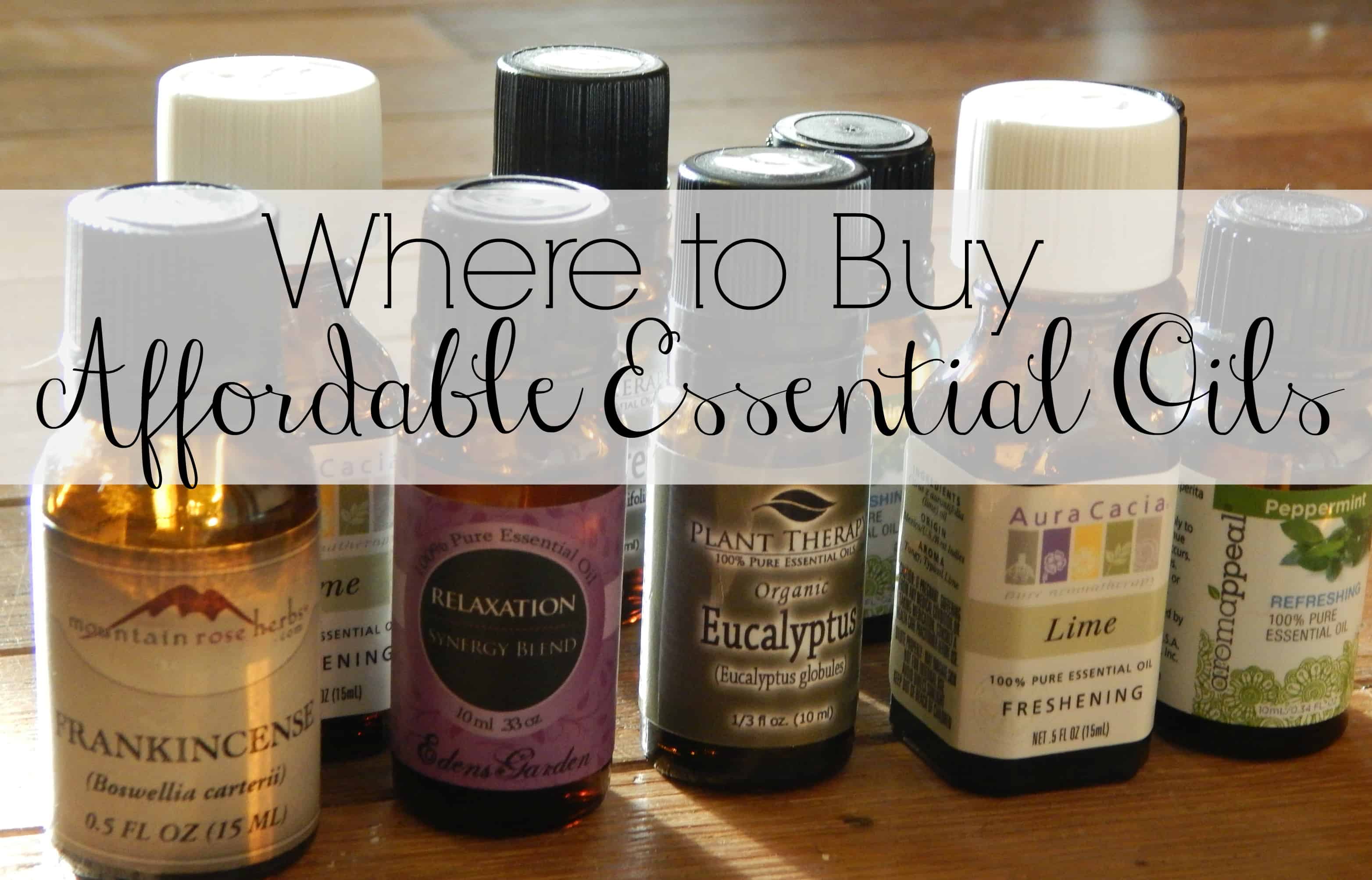 How to Make Elderberry Syrup