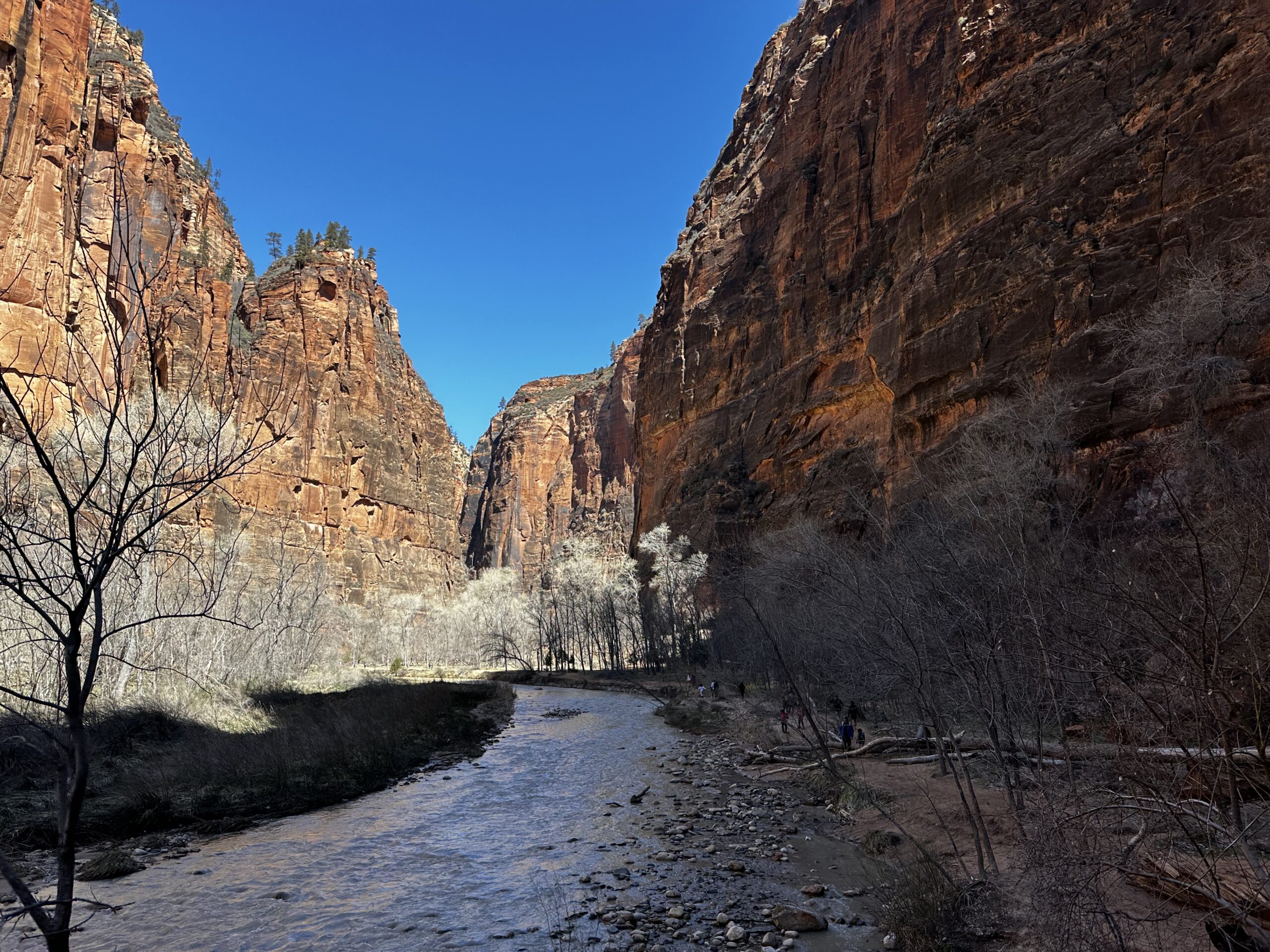 When is the Best Time to Visit Zion? We're in the Rockies