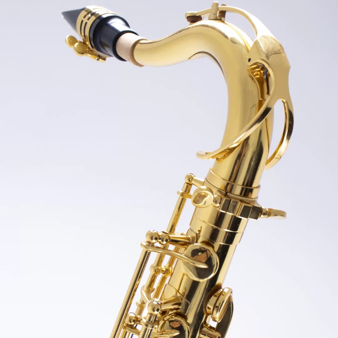 Saxofone tenor profissional Weril A370 Weril