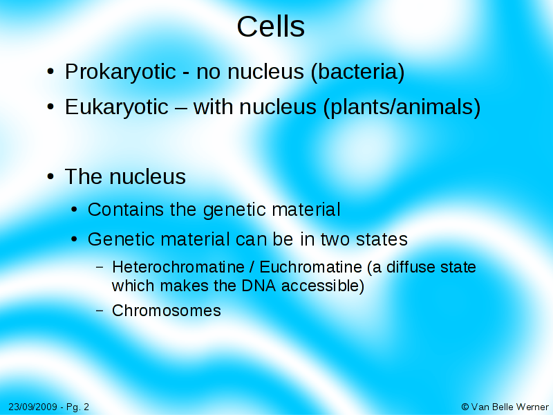 Nucleotides to Amino Acids