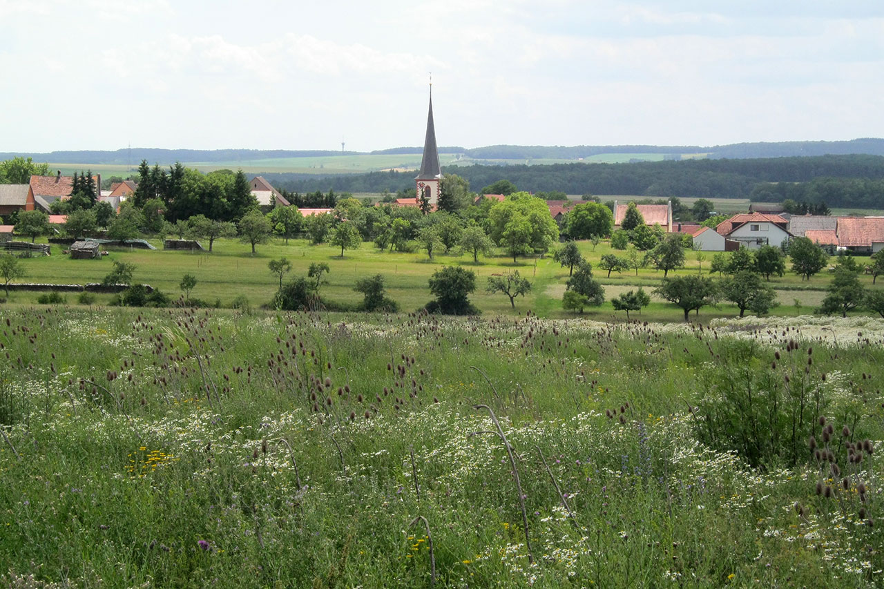 Reguläres Verbreitungsgebiet Werntal Zeitung