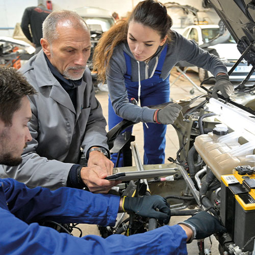 Job Vacancies Careers Bedford , Bedfordshire Werrens Ltd