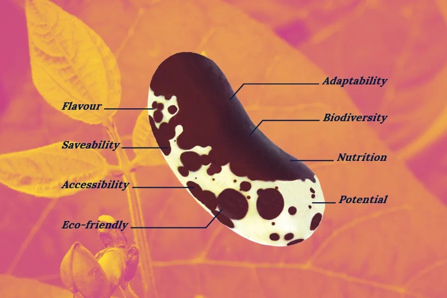 What makes a good seed? Find out! SeedChange SeedChange
