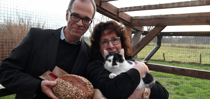 Rustikale "Stubentiger" für die vielen Miezekatzen