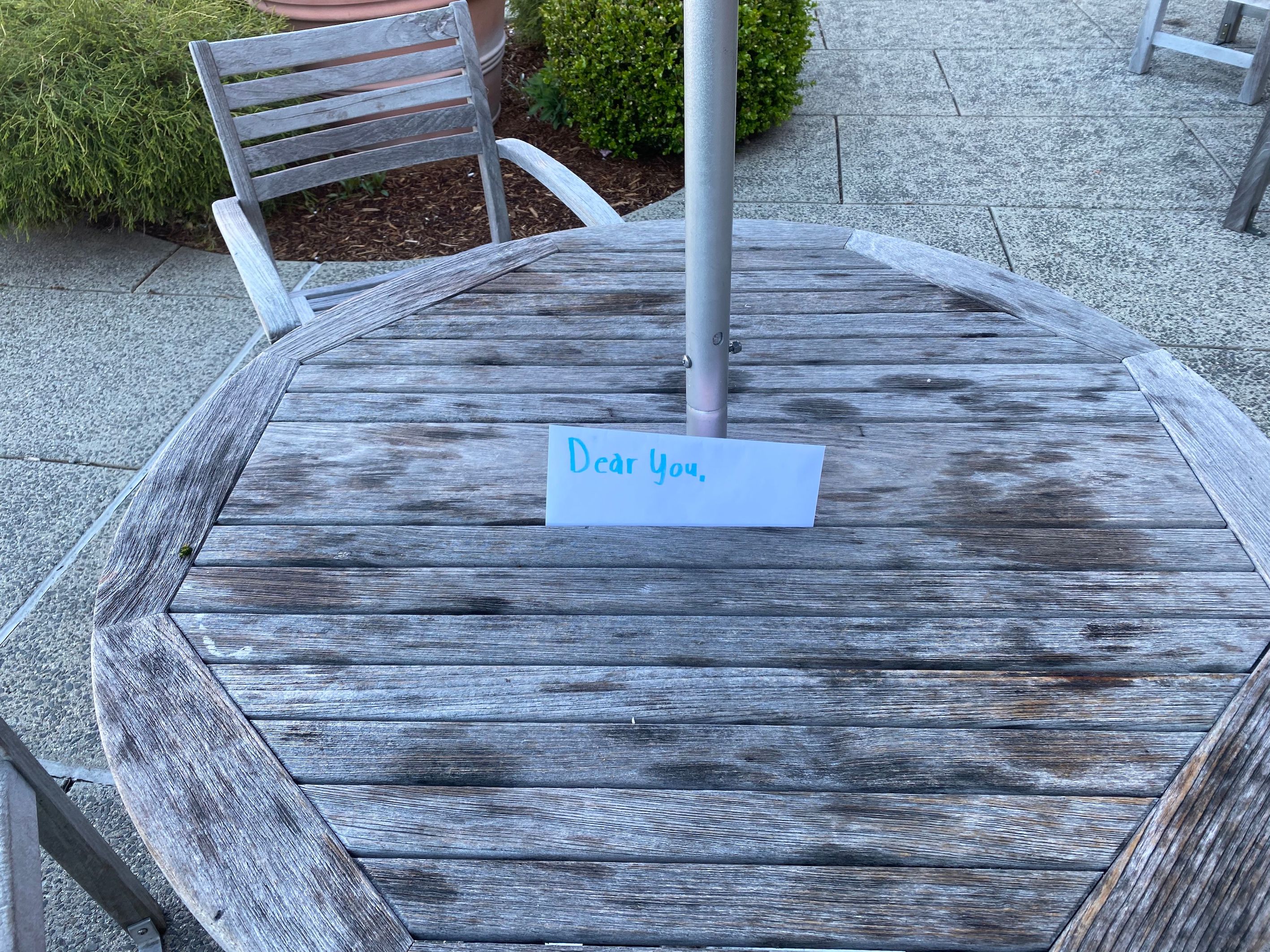 The Wesleyan Argus Unsent Letters Project Facilitates Communal Art