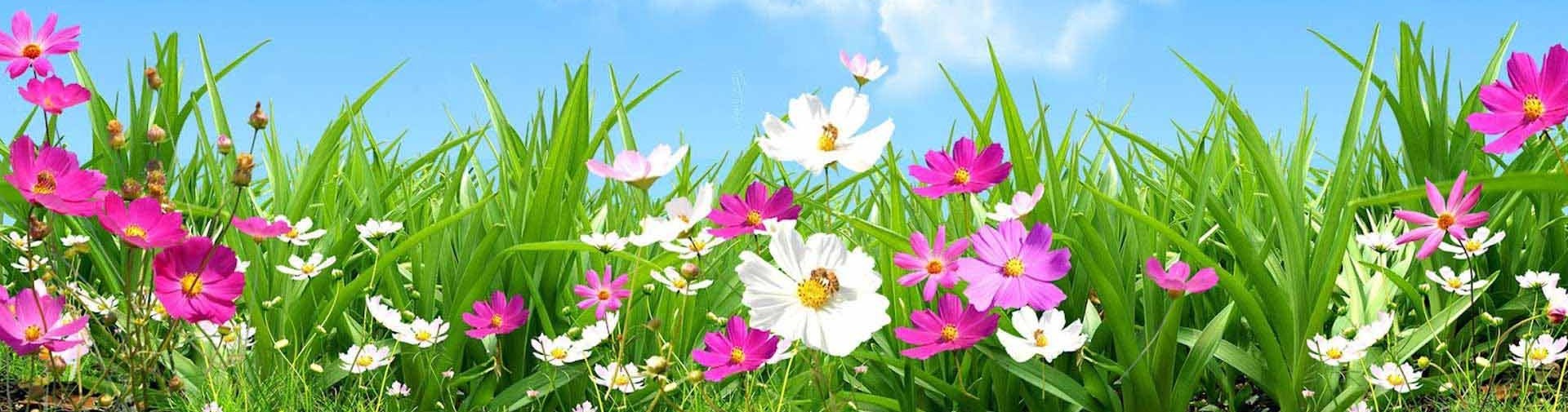 Awards Wesley Berry Flowers