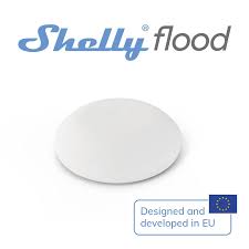 Shelly flood - WeSmart