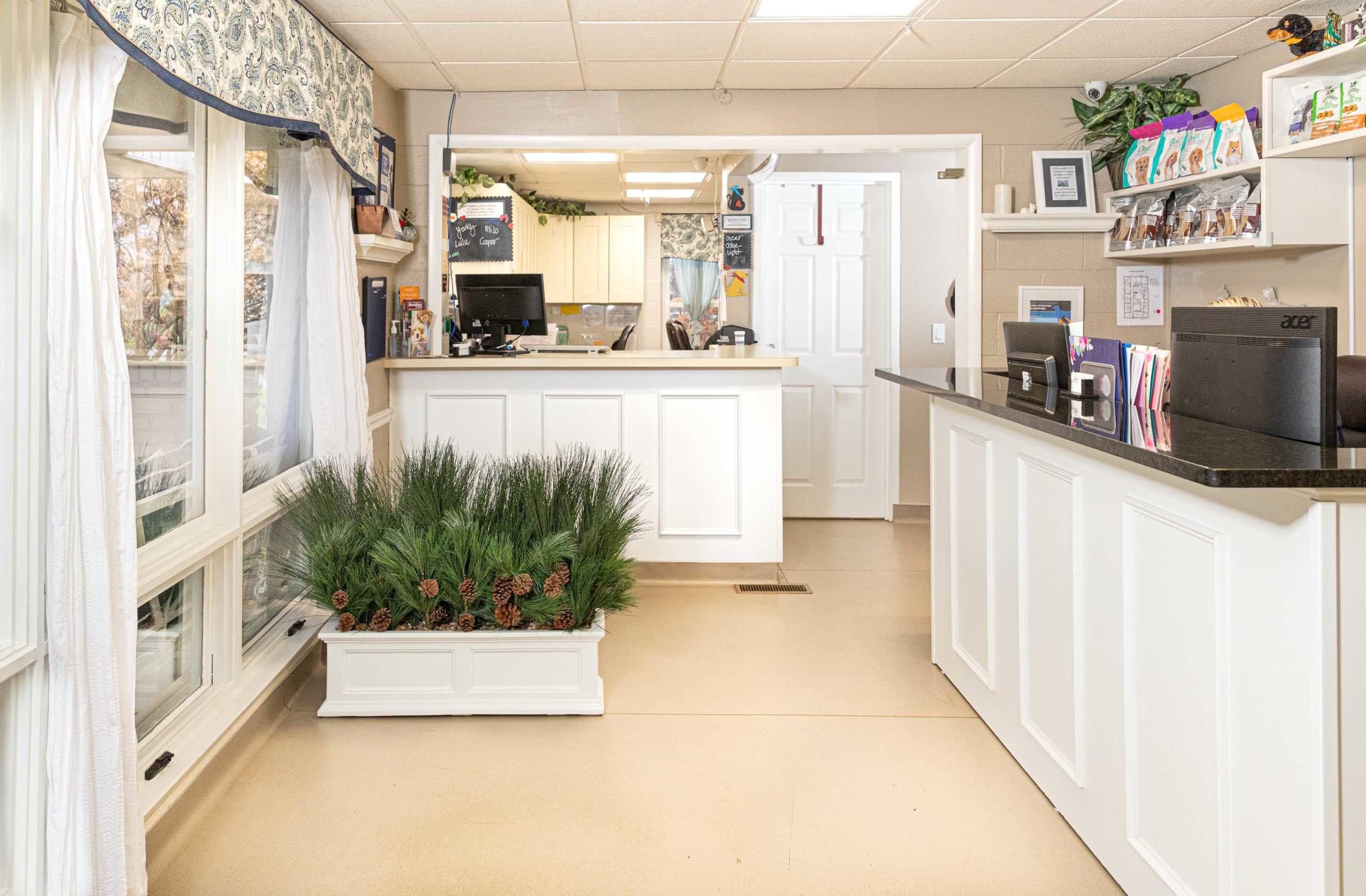 Take a Tour of our Ann Arbor Veterinary Hospital!