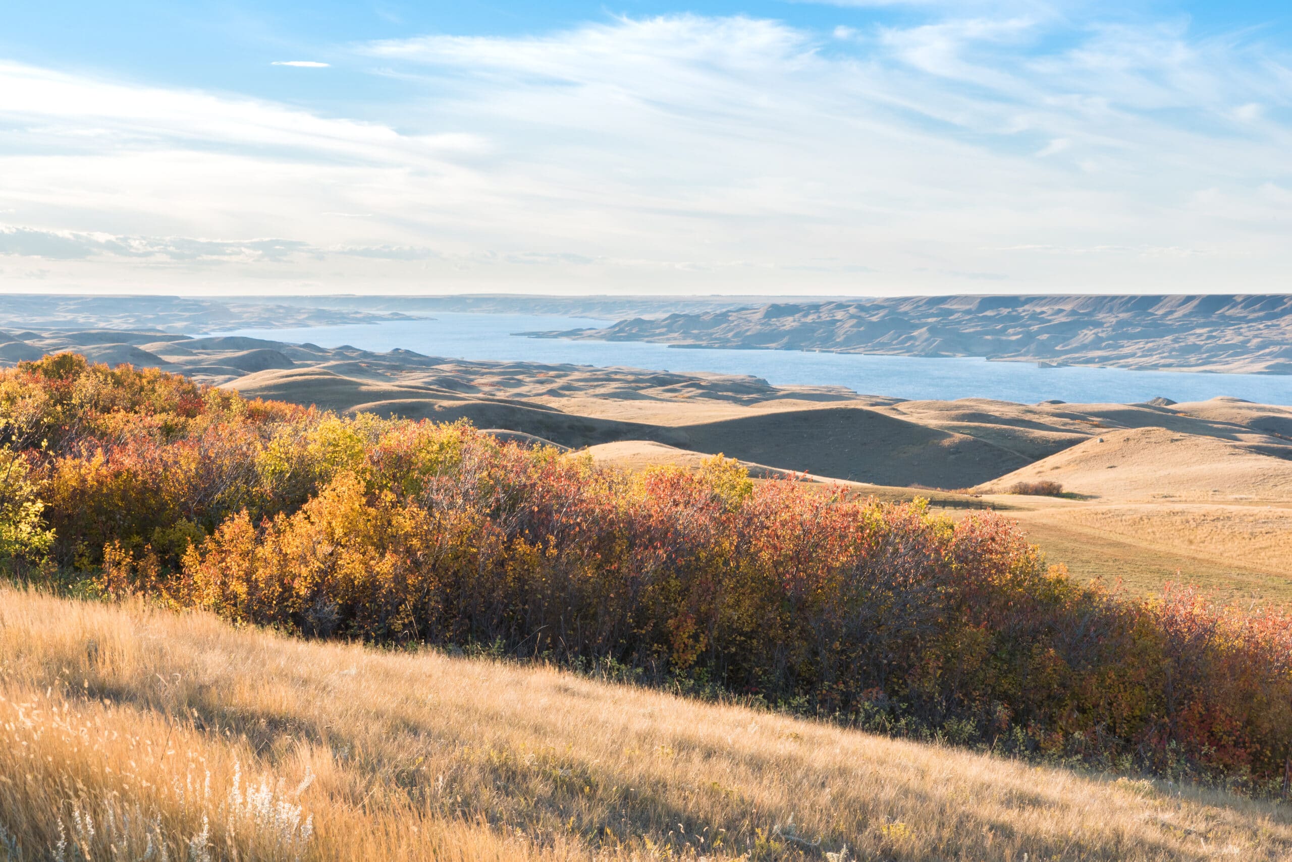 Sunset over autumn leaves on a hillside overlooking Lake Diefenbaker in