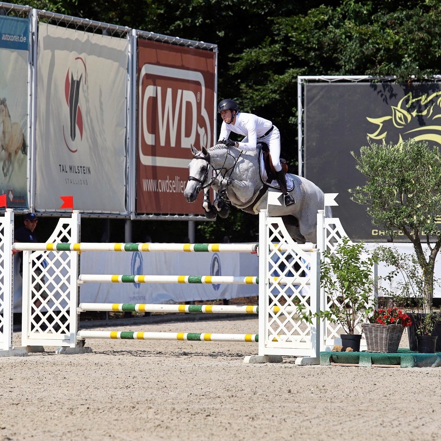 Gallery Westbury Stables