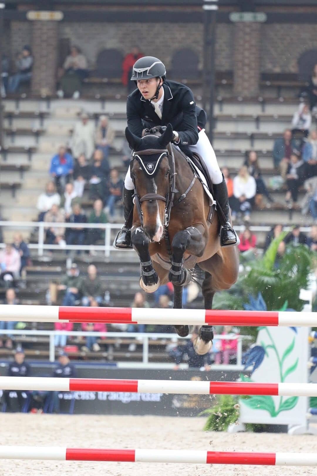 Gallery Westbury Stables