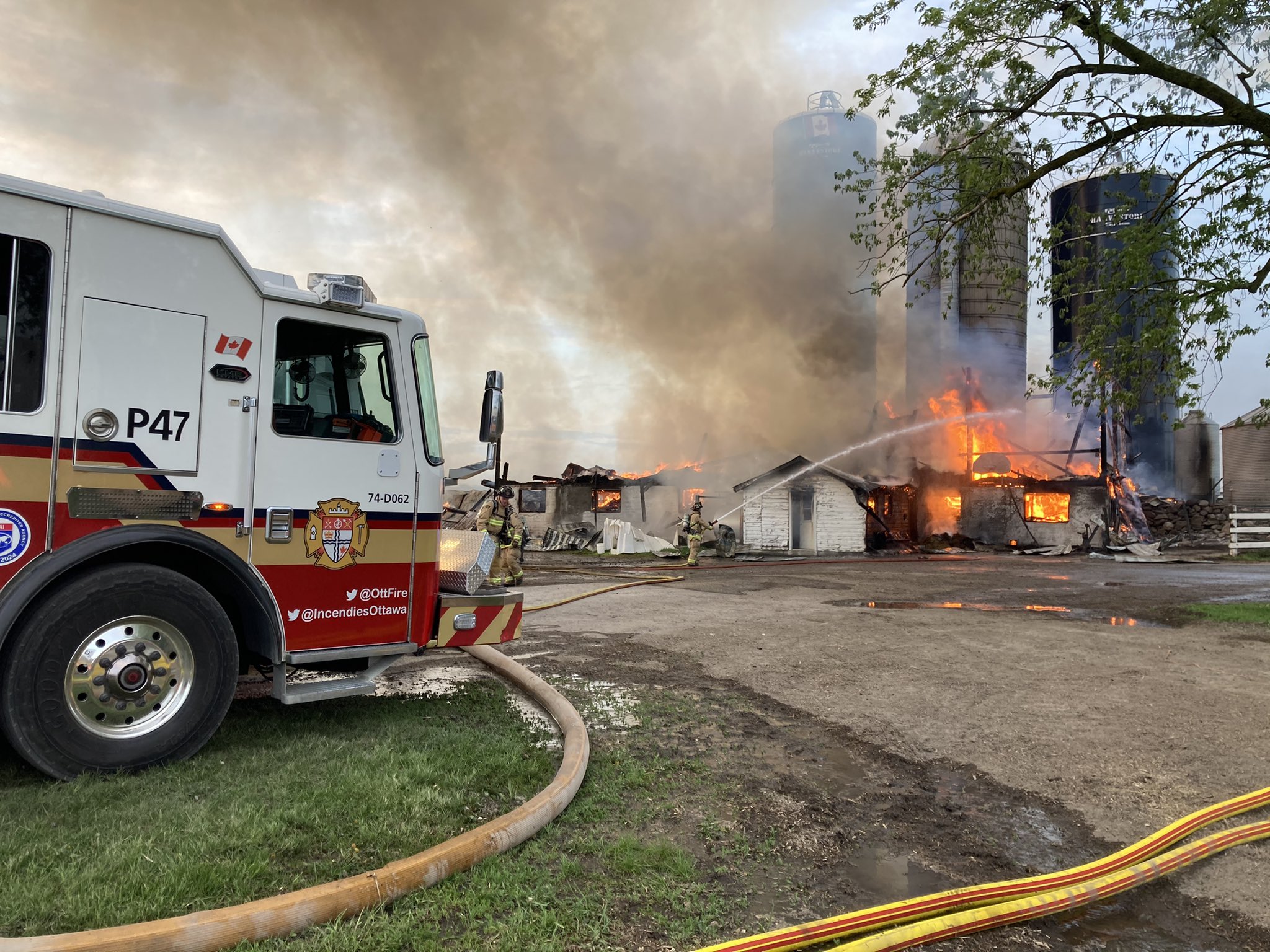 South Ottawa barn fire claims 120 head of cattle West Carleton Online