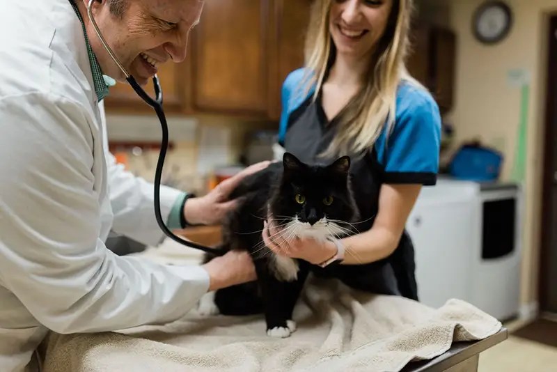 Hospital Tour Westside Animal Hospital