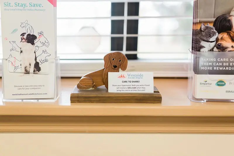 Hospital Tour Westside Animal Hospital